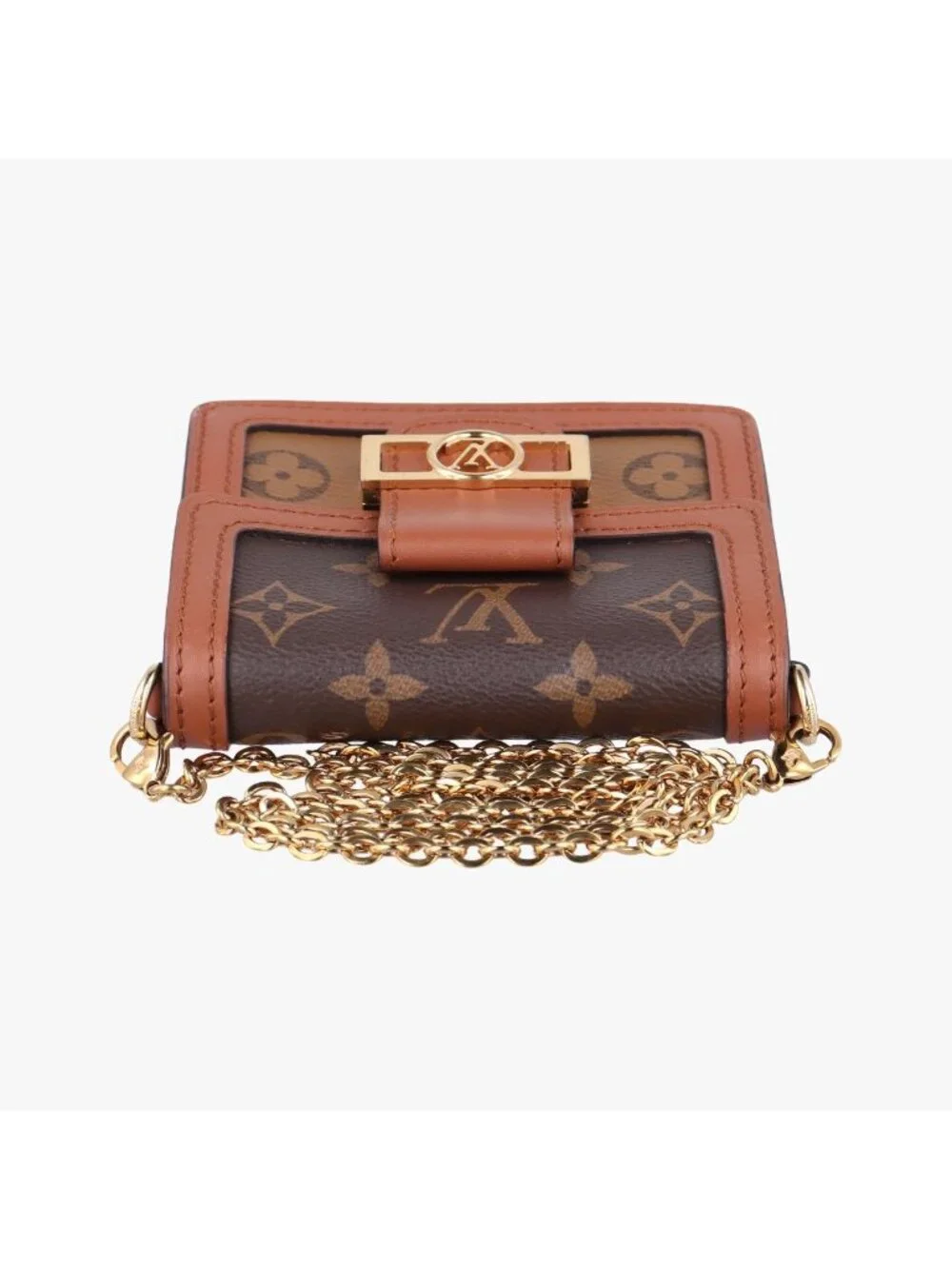 Louis Vuitton brand louis